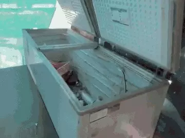 लखनऊ में फ्रीजर से मिला युवक का शव: 4 दिन से बंद थी वेज बिरयानी की दुकान, आधार कार्ड से हुई पहचान