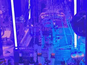 महाश्मशान में अद्भुत परंपरा: जलती चिताओं के बीच नगर वधुओं की नृत्यांजलि, 350 वर्षों से जारी अनोखा श्रृंगार महोत्सव