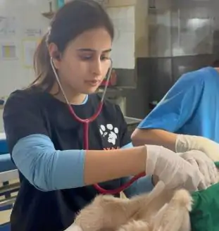 मुंबई में सजी अर्जुन तेंदुलकर की शाही शादी, सानिया चंडोक संग लिए सात फेरे