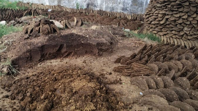 बनारस के स्वाद तक पहुंची एलपीजी सिलेंडर की आंच