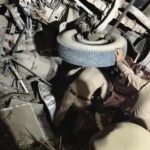 हापुड़ में भीषण सड़क हादसा: बारात लौट रही बस ट्रक से टकराई, 6 की मौत, कई घायल