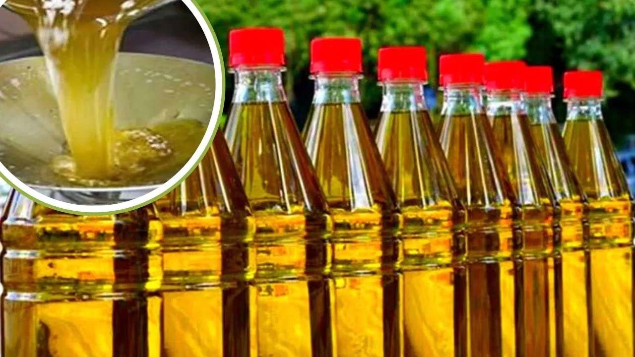 यूपी में मिलावटी खाद्य तेलों पर बड़ी कार्रवाई, 14 फर्मों पर उत्पादन और बिक्री पर प्रतिबंध