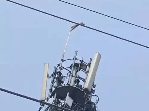 वाराणसी: सदर बाजार में युवक 150 फीट ऊँचे टावर पर चढ़ा, पुलिस ने सुरक्षित नीचे उतारा