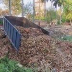 सूखे पत्तों से BHU बना रहा “काला सोना”, गंदगी से समाधान तक की अनोखी पहल