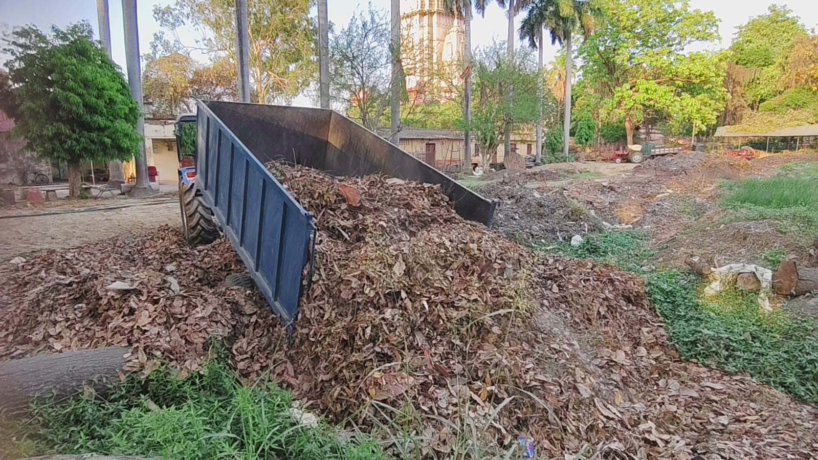 सूखे पत्तों से BHU बना रहा “काला सोना”, गंदगी से समाधान तक की अनोखी पहल