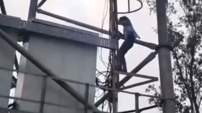 मऊ: प्रेम विवाह की जिद में टावर पर चढ़ी युवती, पुलिस की समझाइश के बाद उतरी नीचे