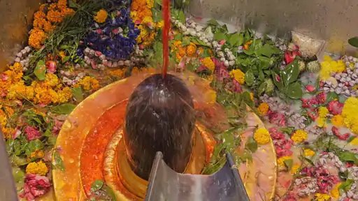 नौतपा की तपिश में बाबा विश्वनाथ को शीतल अर्पण, फलों के रस से हो रहा विशेष रुद्राभिषेक