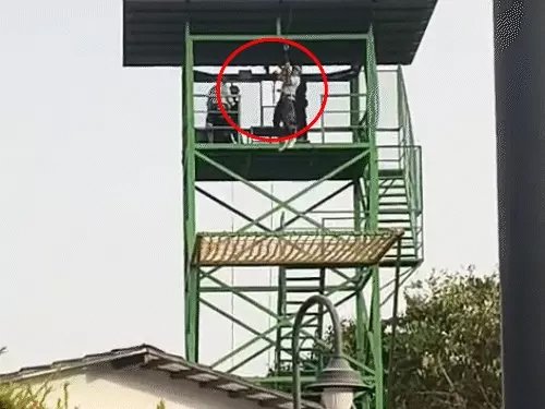 आगरा में एडवेंचर एक्टिविटी के दौरान बड़ा हादसा, जिप लाइन टूटने से 16 वर्षीय किशोर की मौत