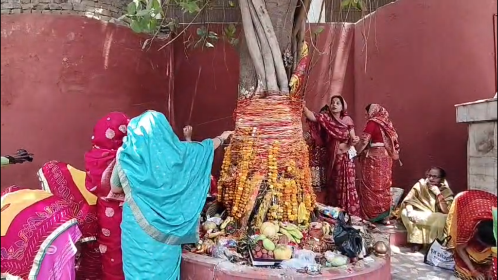 काशी में वट सावित्री व्रत की धूम: सुहागिनों ने बरगद पूजन कर मांगा अखंड सौभाग्य, पति की लंबी उम्र के लिए रखा निर्जला व्रत