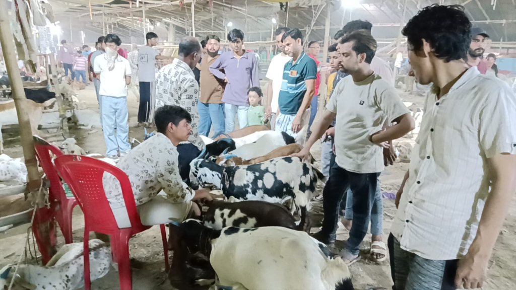 बकरीद की आहट के साथ गुलजार हुई बकरा मंडी