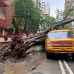 मुंबई में हादसा: स्कूल बस पर पेड़ गिरा, एक छात्र की मौत, 10 घायल