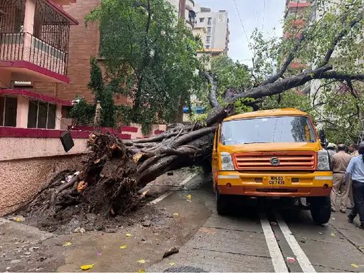 मुंबई में हादसा: स्कूल बस पर पेड़ गिरा, एक छात्र की मौत, 10 घायल
