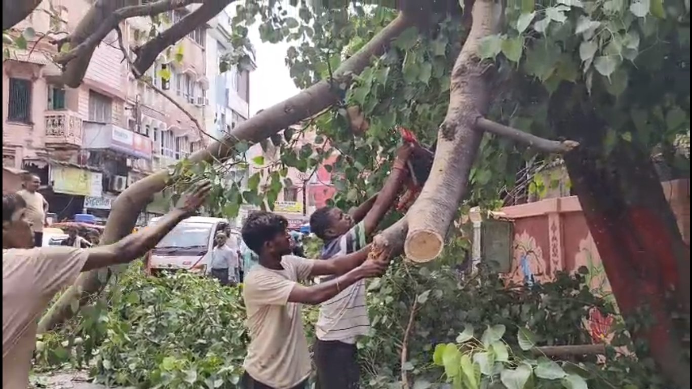 वाराणसी में तेज आंधी का कहर: कबीरचौरा मंडली अस्पताल के मुख्य द्वार पर पुराना पीपल का विशाल वृक्ष गिरा, ट्राली चालक घायल