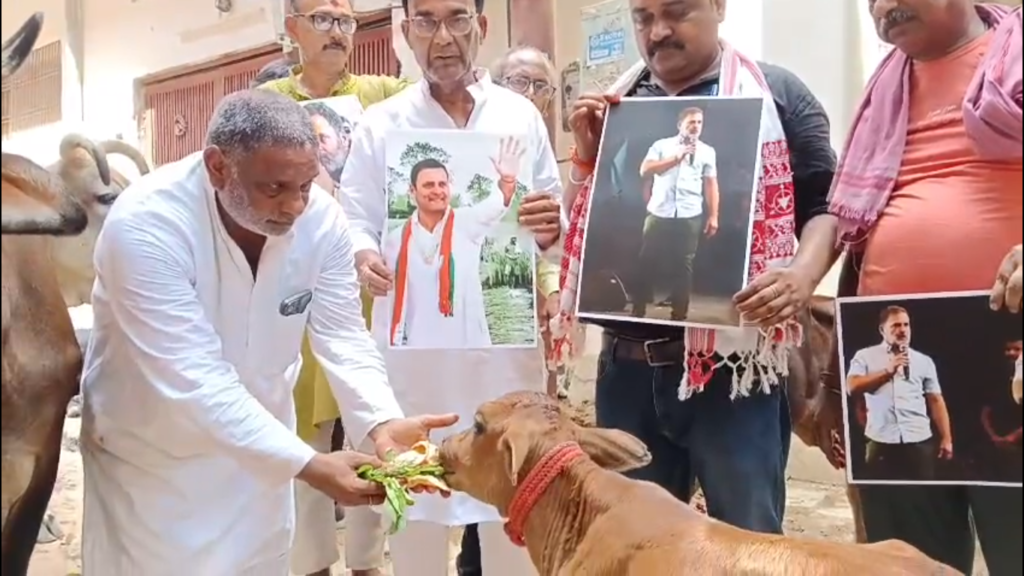 काशी में राहुल गांधी का 56वां जन्मदिन अनोखे अंदाज में मनाया गया, धार्मिक अनुष्ठानों और जनसेवा कार्यक्रमों का आयोजन