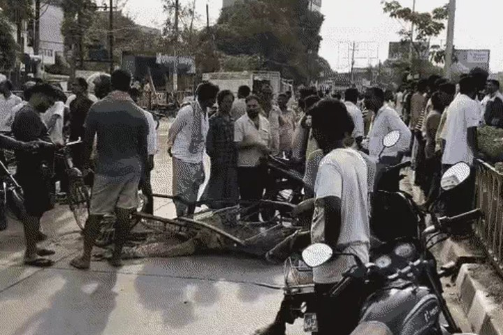 हाईवे पर मौत बनकर दौड़ा आम से लदा डीसीएम