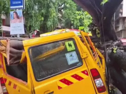 मुंबई में हादसा: स्कूल बस पर पेड़ गिरा, एक छात्र की मौत, 10 घायल