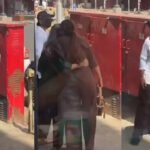 दूसरी बार माता-पिता बनने की तैयारी में दीपिका-रणवीर, लंच डेट पर पहुंचे रेस्टोरेंट; सिंपल अंदाज ने खींचा ध्यान