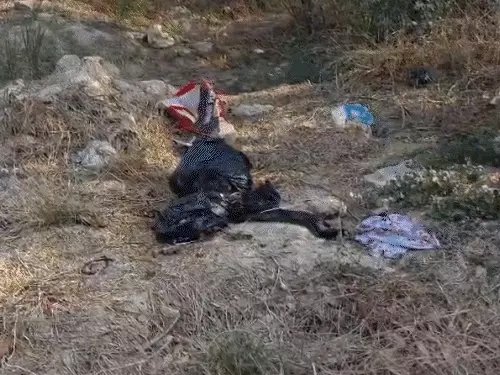 वॉट्सएप चैट नहीं दिखाई तो गर्लफ्रेंड के किए 3 टुकड़े: धड़-हाथ झाड़ियों में फेंके, पैर ठिकाने लगाने जाते वक्त एनकाउंटर में पकड़ा गया आरोपी