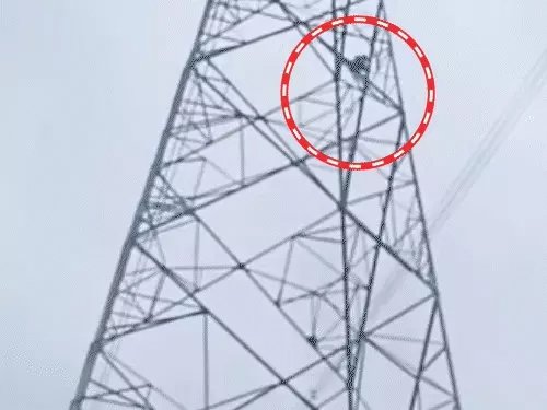 प्रयागराज में प्रेम प्रसंग को लेकर हाईटेंशन टावर पर चढ़ा कोचिंग संचालक, तीन घंटे तक चला हाई वोल्टेज ड्रामा