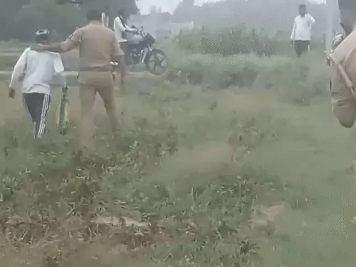 प्रयागराज में प्रेम प्रसंग को लेकर हाईटेंशन टावर पर चढ़ा कोचिंग संचालक, तीन घंटे तक चला हाई वोल्टेज ड्रामा