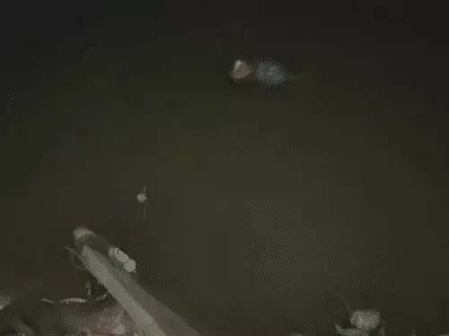 वरुणा नदी में मिला ऑटो चालक का शव, पुल पर लावारिस ऑटो और तेजाब की बोतल मिलने से मचा हड़कंप