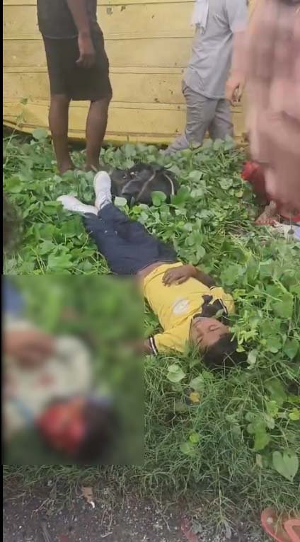 स्कूल वैन को ओवरटेक करते समय बस ने मारी टक्कर, पलटी वैन; 7 बच्चे गंभीर
