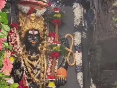 51 क्विंटल फूलों से सजा बाबा काल भैरव का दरबार, 112 साल पुरानी परंपरा में समृद्धि भैरव के रूप में हुए दर्शन