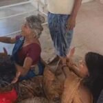 मां के सामने स्कूल बस ने पांच साल के मासूम को कुचला, मौत के बाद गांव में बवाल
