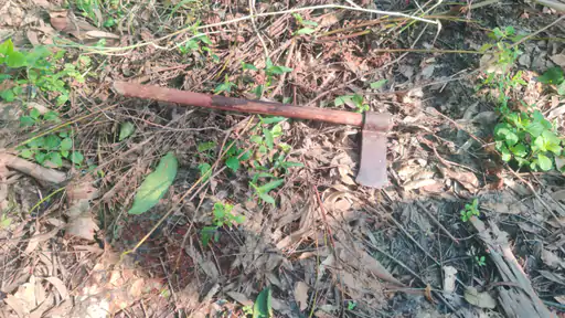 सुल्तानपुर में प्रधानाचार्य दंपती की हत्या, स्कूल परिसर में मिले खून से सने शव