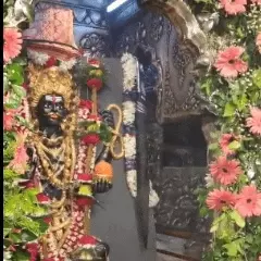 51 क्विंटल फूलों से सजा बाबा काल भैरव का दरबार, 112 साल पुरानी परंपरा में समृद्धि भैरव के रूप में हुए दर्शन