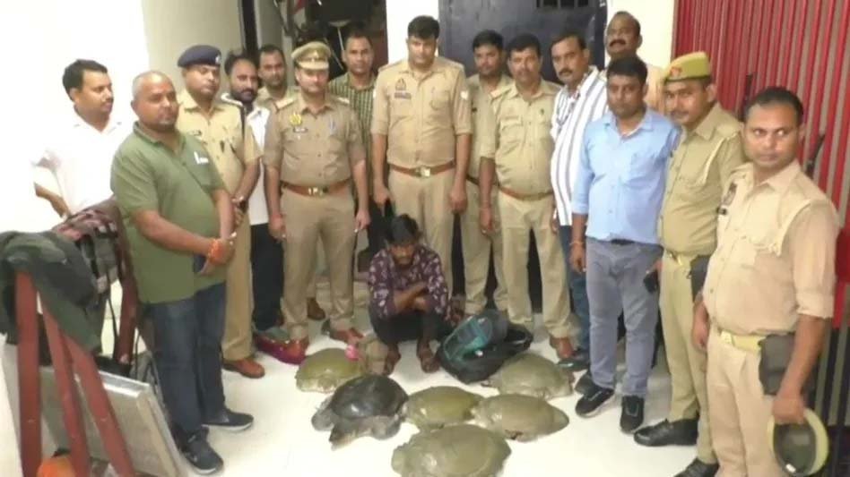 वाराणसी में ट्रेन से 24 दुर्लभ कछुए बरामद, अमेठी का युवक गिरफ्तार; पश्चिम बंगाल ले जाने की आशंका