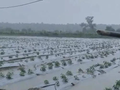 योगी का कांग्रेस और सपा पर हमला, बोले- किसानों का पैसा हड़पने वालों को जनता ने सिखाया सबक